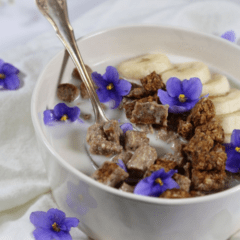 raw Peanut Butter Banana Raisin Cereal with fresh banana slices