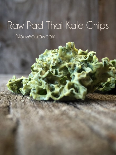 close up of raw vegan Pad Thai Kale Chips