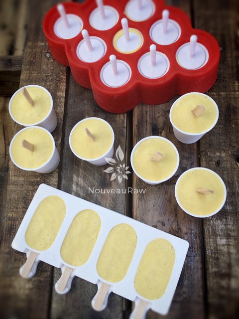 over view of raw vegan Pineapple Coconut Tropical Dixie Pops in different molds