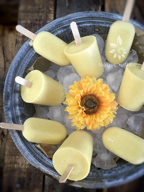 over view of raw vegan Pineapple Coconut Tropical Dixie Pops