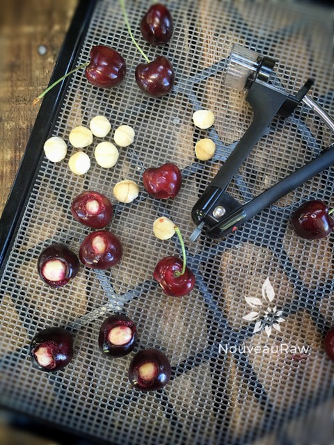 macadamia nuts being pressed into a pitted cherry