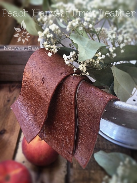 peach fruit leather displayed with dried flowers on barn wood