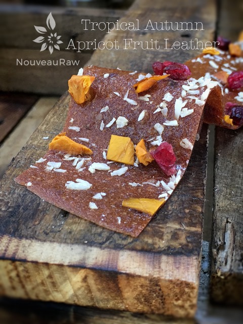  Tropical Autumn Apricot Fruit Leather laying on the table
