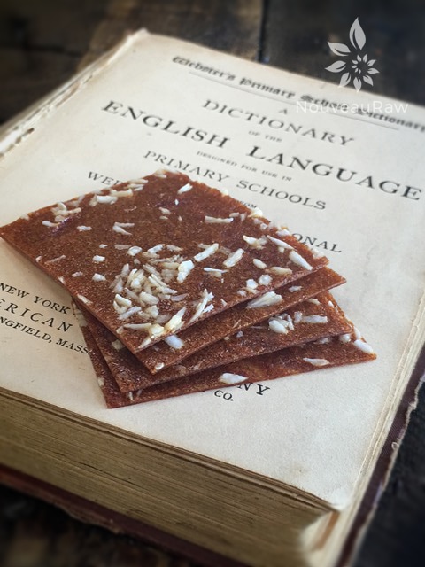 raw vegan Tropical Island Fruit Leather displayed on an old dictionary