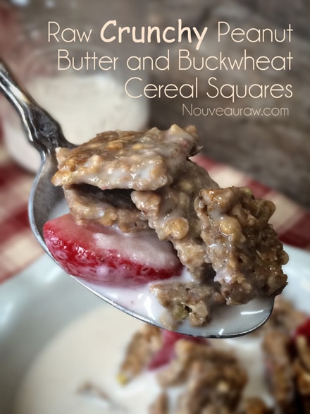 A delicious spoonful of raw crunchy peanut butter and buckwheat cereal squares - Raw, vegan, gluten-free cereal