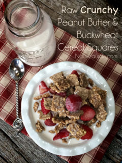 Raw, vegan, gluten-free cereal squares - peanut butter and buckwheat