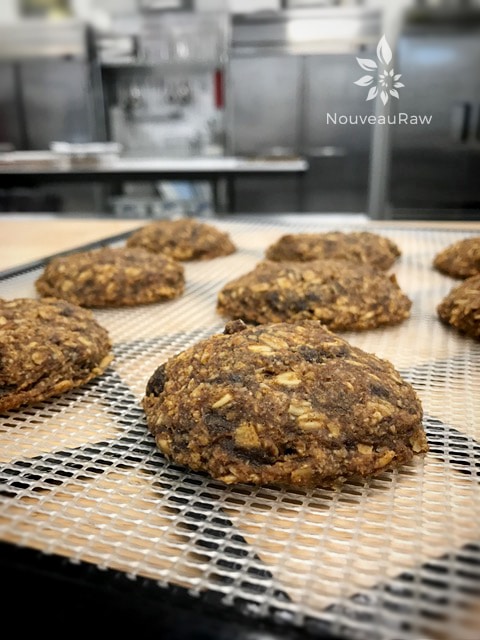 a close up of raw vegan Pumpkin Oatmeal Raisin Cookies getting ready for the dehydrator