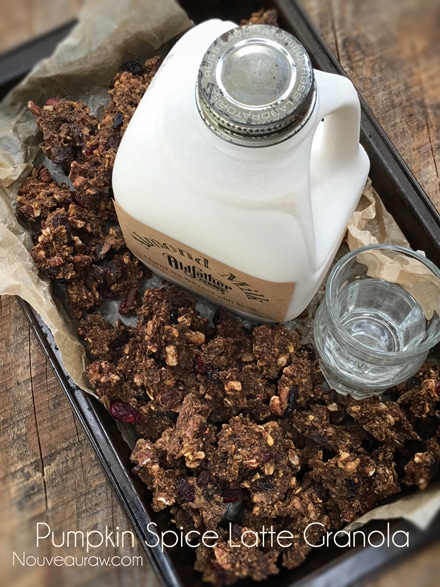 raw gluten-free Pumpkin Spice Latte Granola served with a jug of homemade almond milk