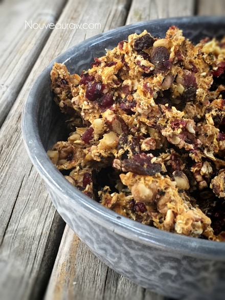 over view of raw vegan gluten free Zesty Orange and Cranberry Granola in a gray bowl 