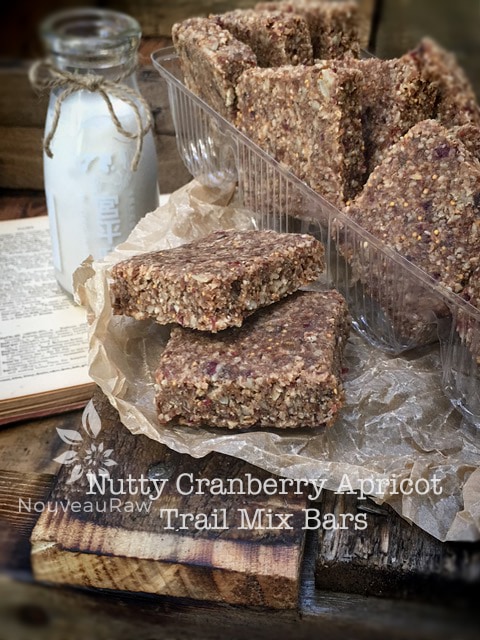 A hearty, filling and nutritious cereal Raw Gluten-Free Nutty Cranberry Apricot Trail Mix Bars Recipe