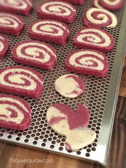 laying the raw vegan Peppermint Christmas Pinwheel "Sugar” Cookies on a dehydrator tray