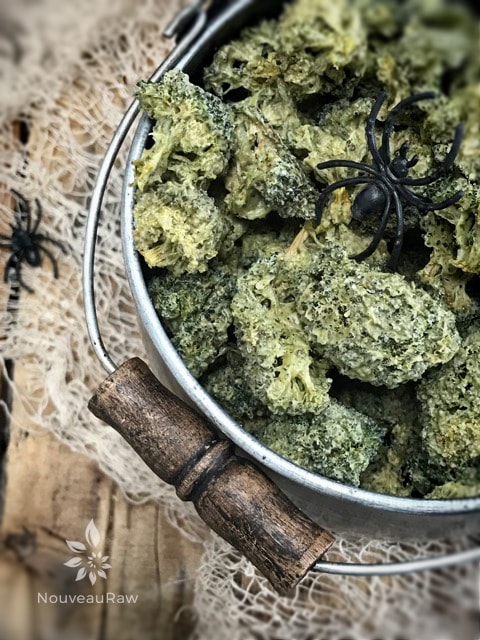 close up of raw vegan "Ear Wax" Vinegar and Dill Broccoli Nibblers served with netting and plastic spiders