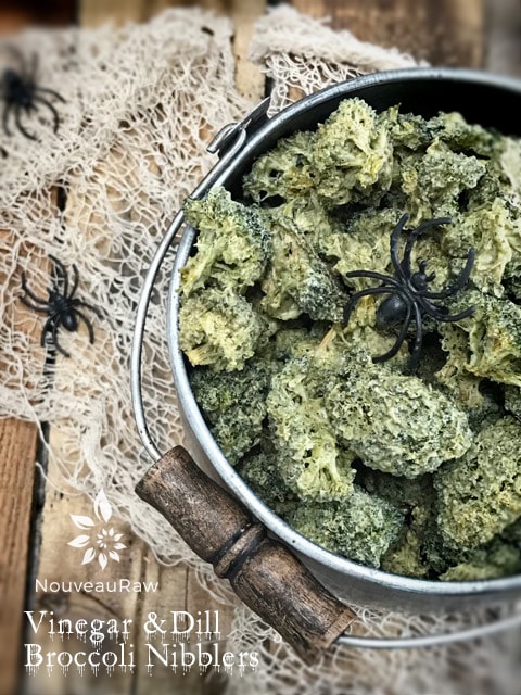 raw vegan "Ear Wax" Vinegar and Dill Broccoli Nibblers served with netting and plastic spiders
