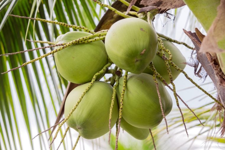 The inside scoop on Young Thai Coconuts