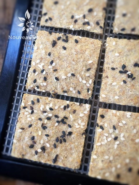 a close up of raw gluten free Caramelized Onion Crackers displayed on an Excalibur dehydrator tray