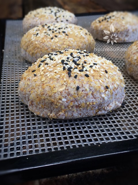 close up of raw vegan gluten-free Sourdough Bread / Buns on a dehydrator tray