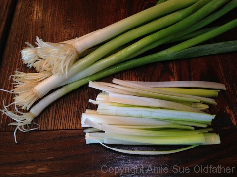 slicing green onions into thin strips