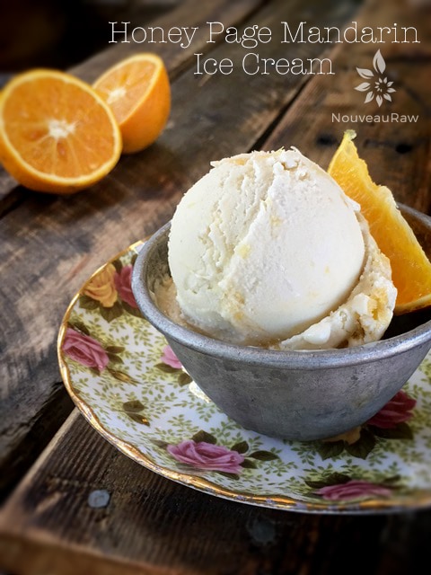 raw vegan Honey Page Mandarin Ice Cream served in china dishes