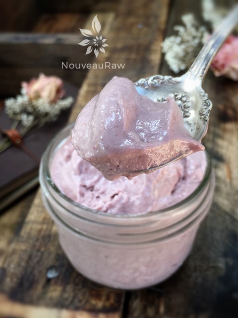 a spoonful of raw dairy free Strawberry Rhubarb Ice Cream served in a mason jar