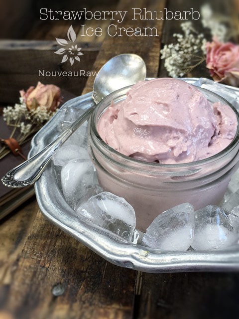 raw dairy free Strawberry Rhubarb Ice Cream served in a mason jar