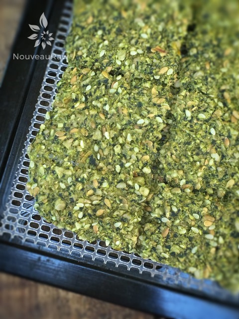 a dehydrator tray of dried raw gluten free Arugula and Sunflower Seed Crackers on an Excalibur dehydrator tray