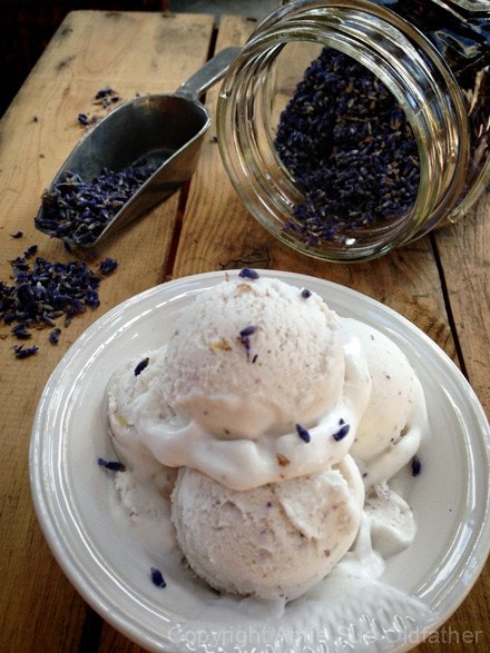 raw vegan Lemon and English Lavender Ice Cream served in a white dish