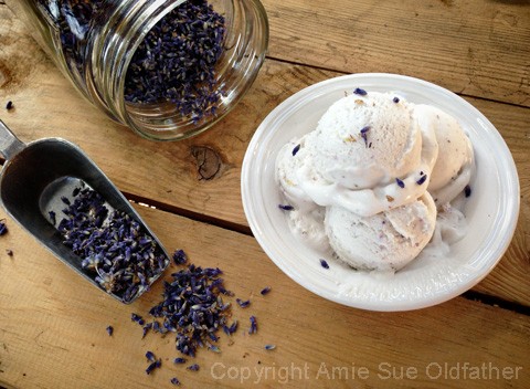 over head shot of raw vegan Lemon and English Lavender Ice Cream with dried lavender sprinkles