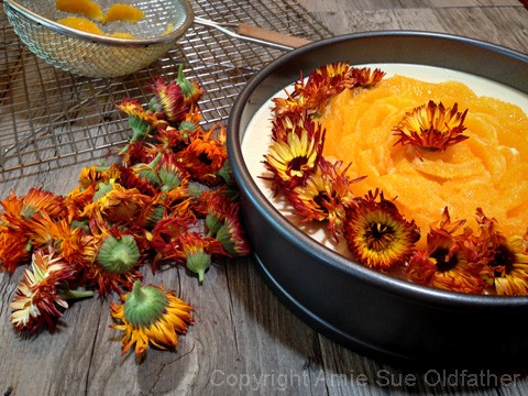 Placing the flowers at the top of Raw Gluten-free Creamsicle Cheesecake