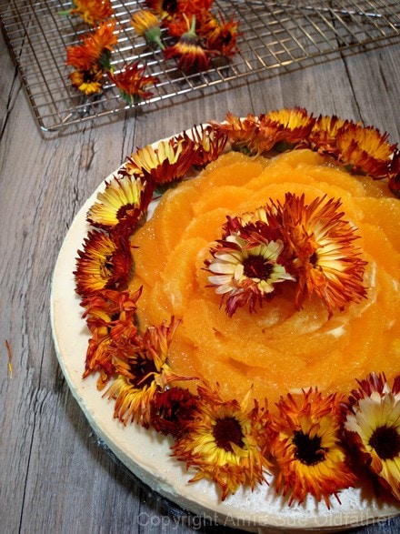 Amazing looking, mouth watering Creamy Raw Gluten-free Creamsicle Cheesecake 