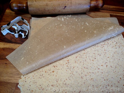 exposing the dough to make raw vegan gluten free Animal Crackers