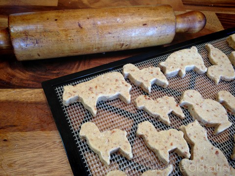 placing the animal shapes on the dehydrator sheet to make raw vegan gluten free Animal Crackers