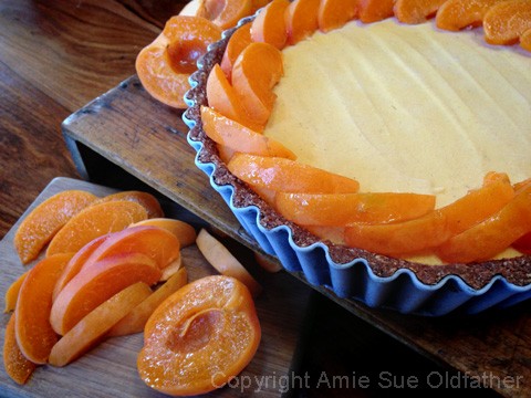 Placing the apricots on to cheesecake filling