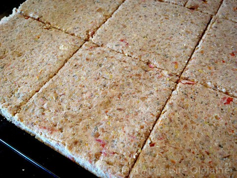 raw gluten free Pizzeria Pizza Crackers scored on an Excalibur dehydrator trays