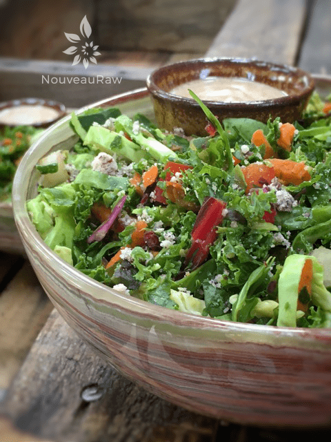 close up of raw vegan Shredded Rainbow Salad in stone bowls