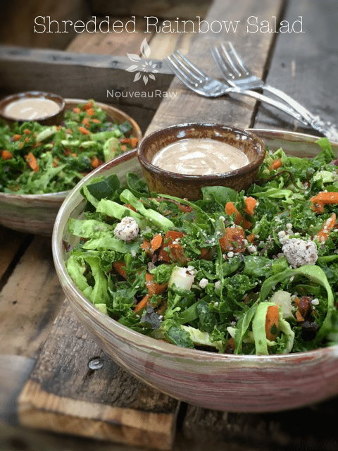 raw vegan Shredded Rainbow Salad in stone bowls