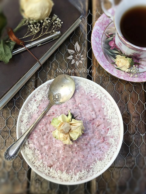 over head shot of raw vegan Strawberry Rhubarb Coconut Chia Pudding served with shredded coconut