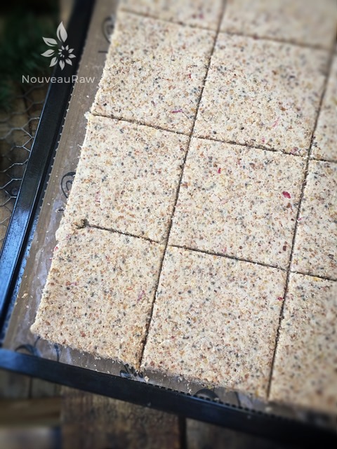 After spreading the batter nice and even, I scored it into the cracker shapes and slid it into the dehydrator to dry. Below, is the photo of what it looks like right out of the dehydrator.