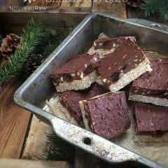 raw vegan gluten-free Chunk Berry Fudge Shortbread Bars displayed in a pan