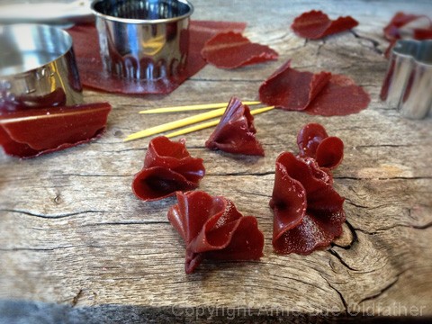 display of creating carnations edible Fruit Leather Flowers