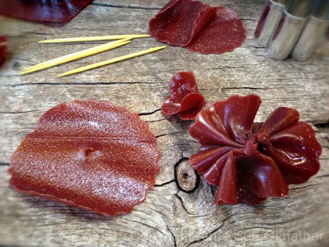 removing the toothpicks and pinching it all together to form the carnations edible Fruit Leather Flowers