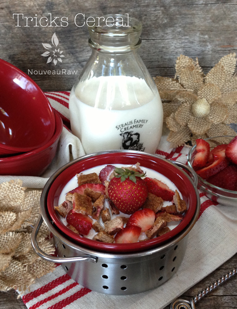 Fruity, Flavorful Raw Gluten-Free Tricks Cereal with chopped fresh yummy strawberries