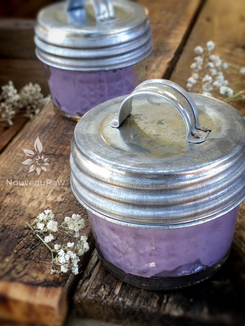 dairy-free summer fresh Blackberry Honey Ice Cream in mason jars