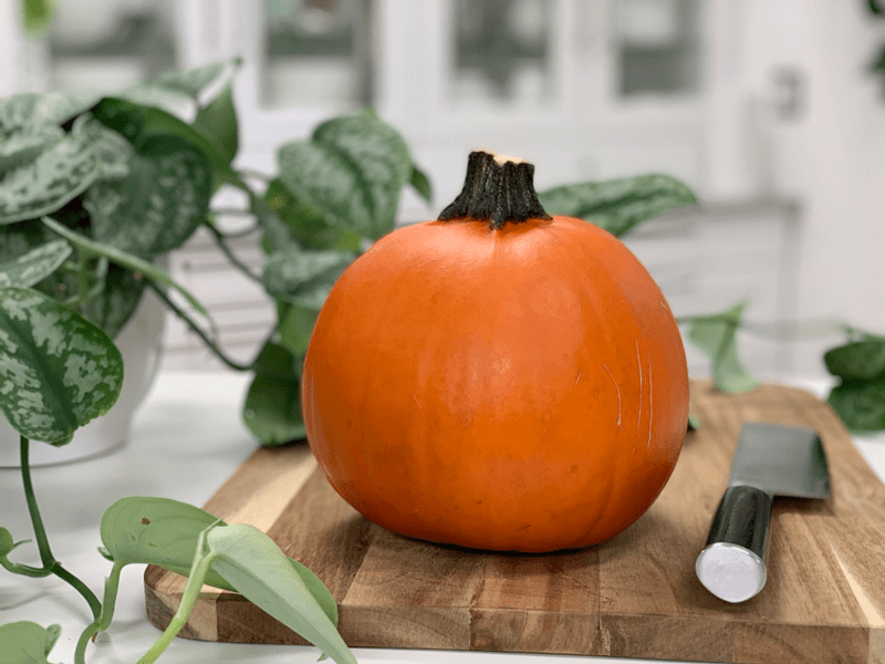 Sugar Pumpkin Puree (raw, vegan, glutenfree, nutfree)