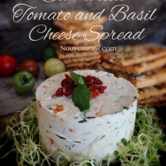 Raw, cultured, gluten free, vegan Cheese Spread with sun-dried tomato and basil