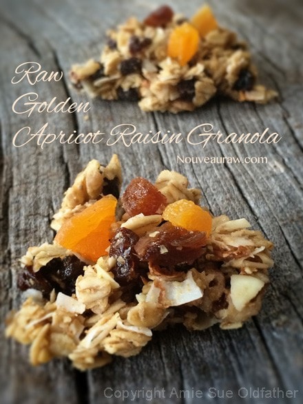 raw gluten-free Golden Apricot Raisin Granola on a wooden table