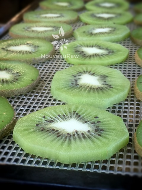 a close up of fresh slices of kiwi on a dehydrator tray