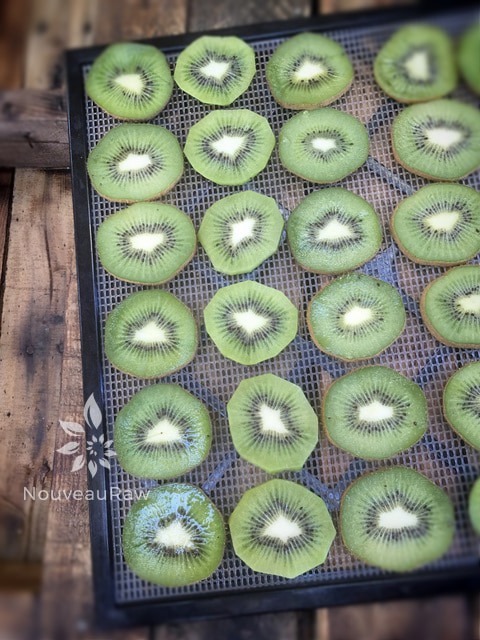 fresh slices of kiwi on a dehydrator tray