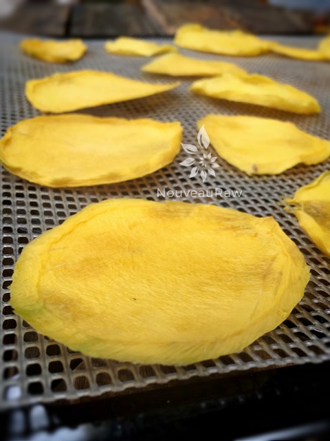 a close up of Perfectly dehydrated mango slices