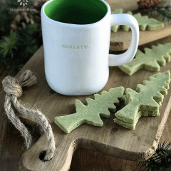 Raw Food Recipes
