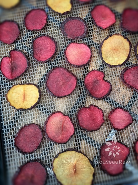 a top view of dried plums on the dehydrator sheet